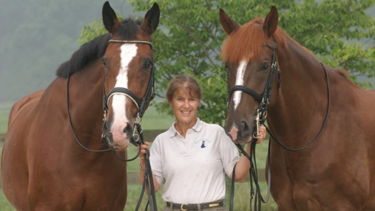 5-7 Years to FEI: Why the Classical Dressage Timeline Produces Superior Results